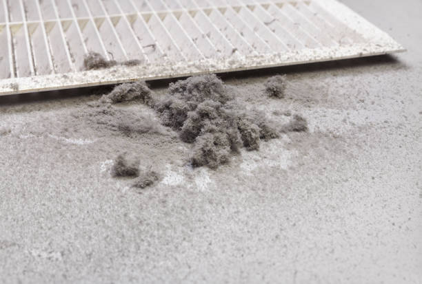 Best Home Air Vent Cleaning  in Arden Arde, CA